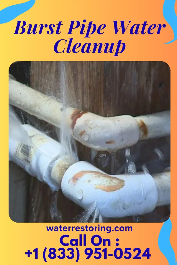 Burst Pipe Water Cleanup in Rosebud, MO