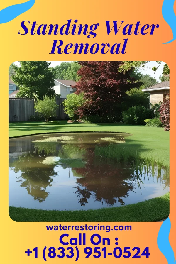 Standing Water Removal in Rosebud, MO